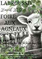 Screenshot_20250404_213742_Canva