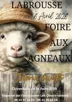 Screenshot_20260313_185648_Canva