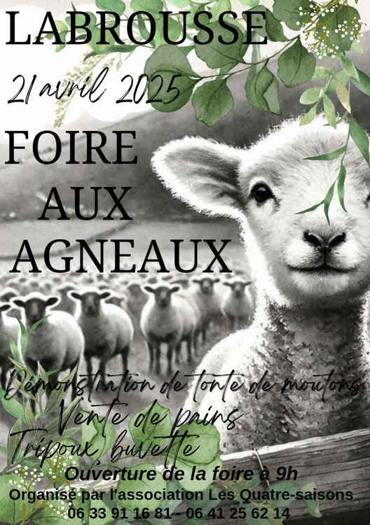 Screenshot_20250404_213742_Canva